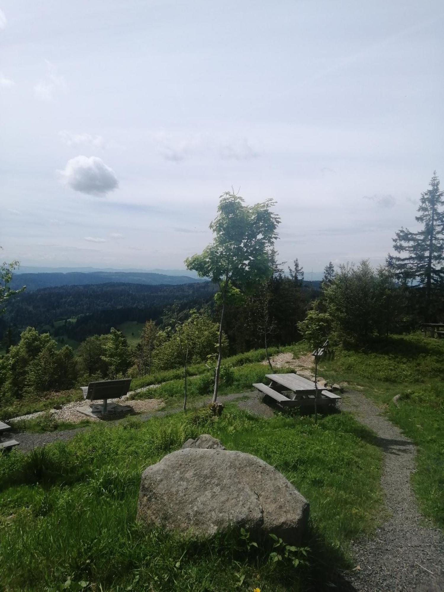 Hotel am Kurpark Todtmoos Exteriör bild