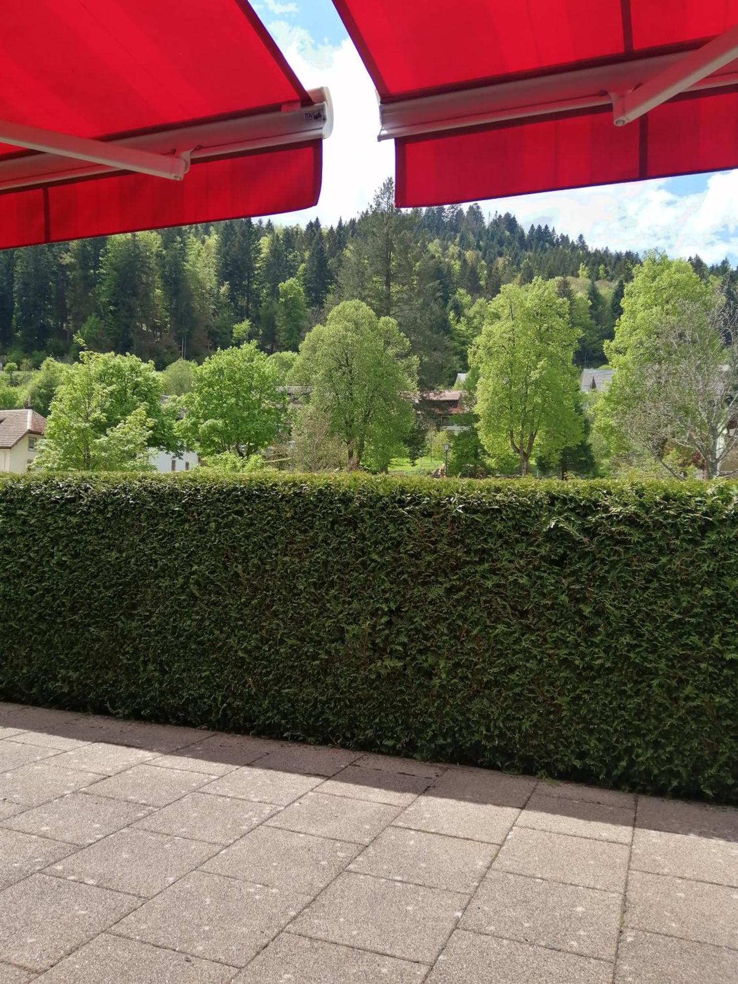 Hotel am Kurpark Todtmoos Exteriör bild