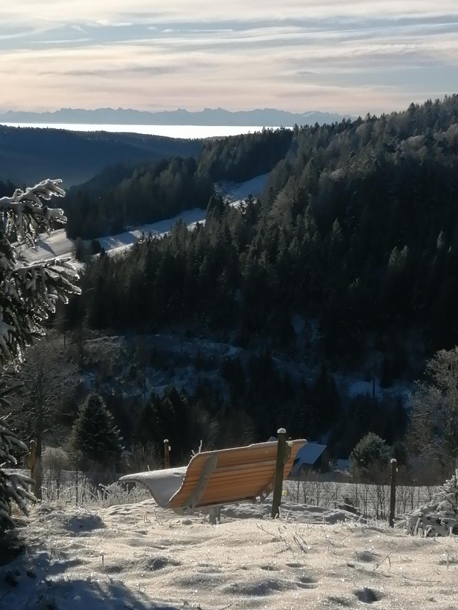 Hotel am Kurpark Todtmoos Exteriör bild
