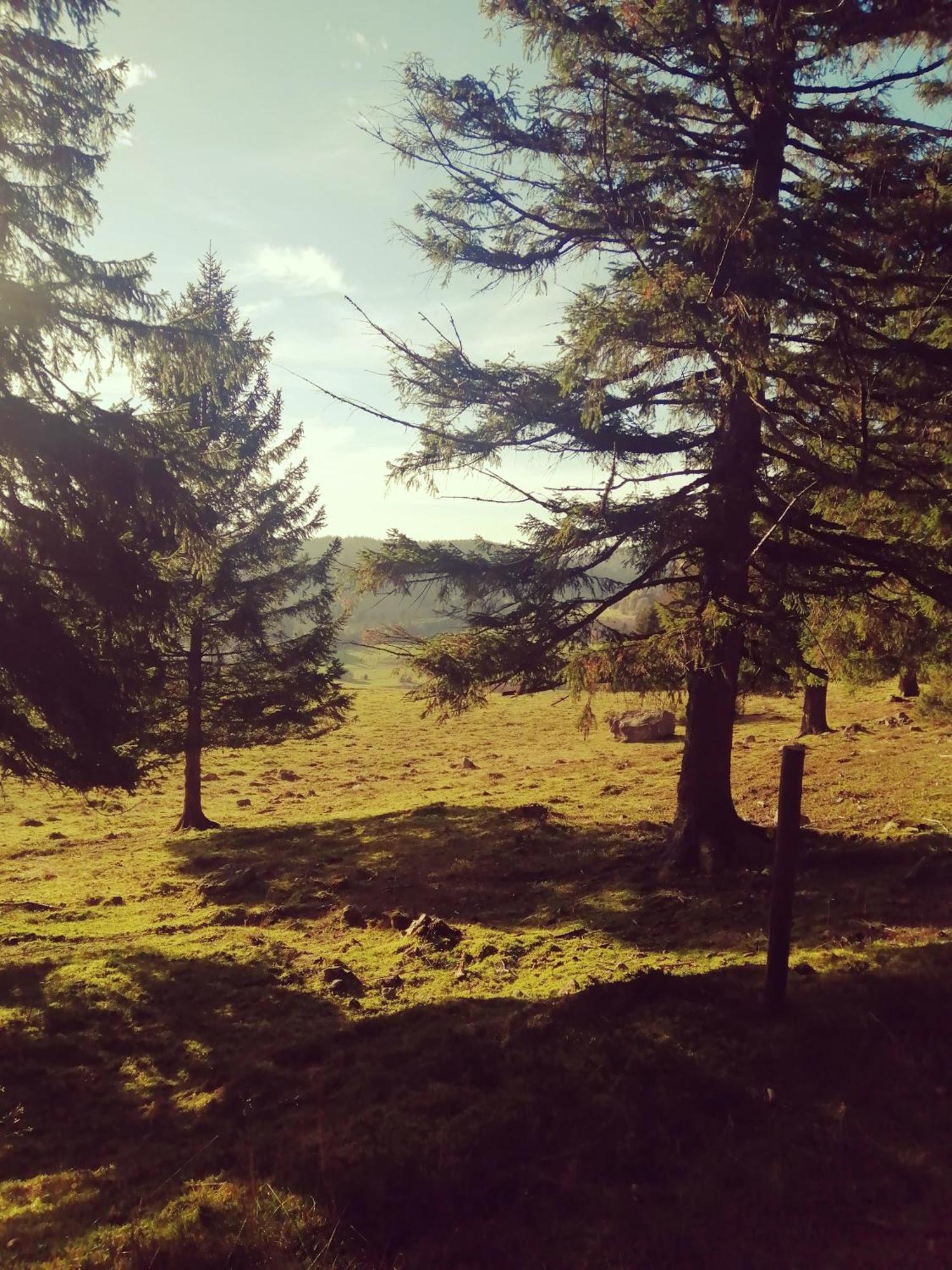 Hotel am Kurpark Todtmoos Exteriör bild